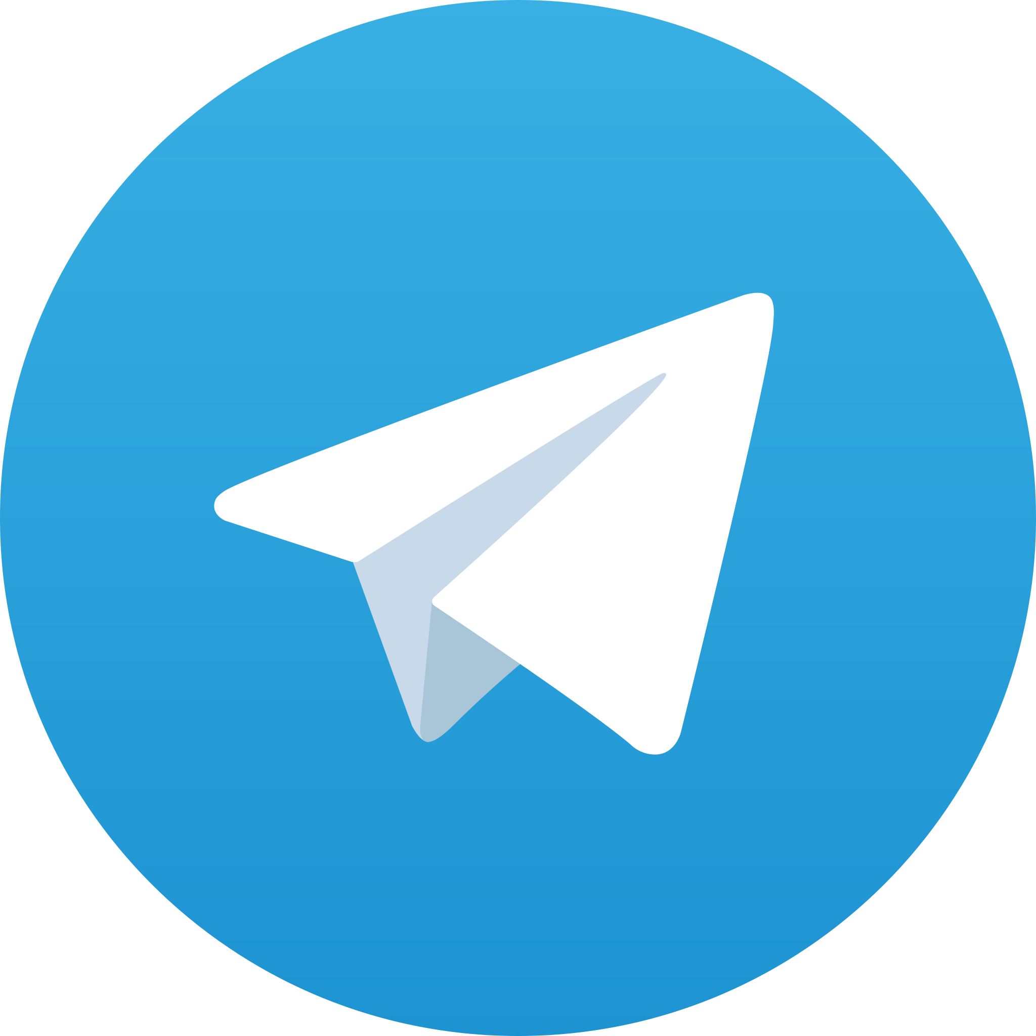 Telegram Bot Logo